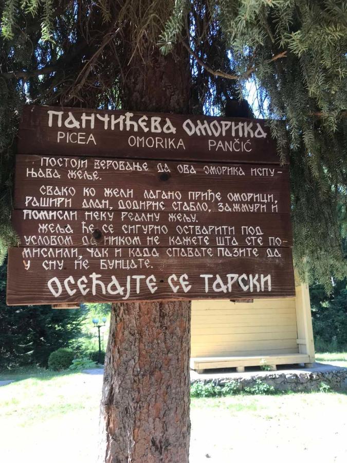 Apartman Mendrea Konjska Reka Exterior foto